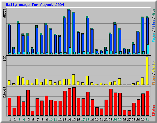 Daily usage for August 2024