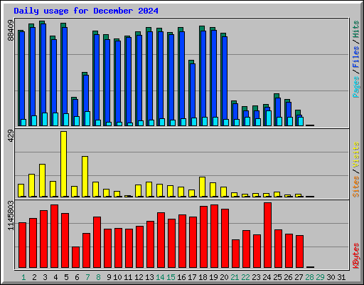 Daily usage for December 2024