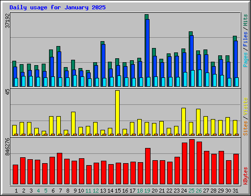 Daily usage for January 2025