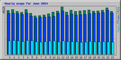 Hourly usage for June 2024