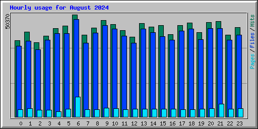 Hourly usage for August 2024