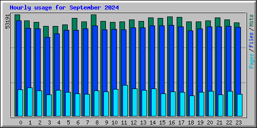 Hourly usage for September 2024