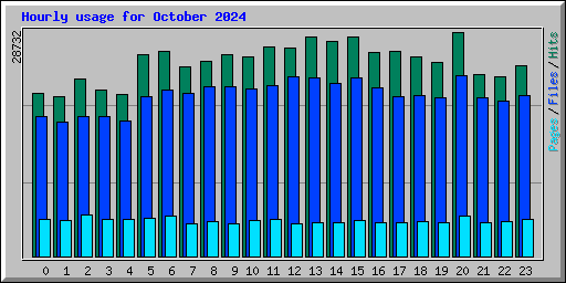 Hourly usage for October 2024