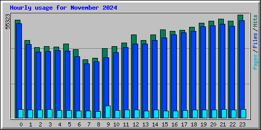 Hourly usage for November 2024