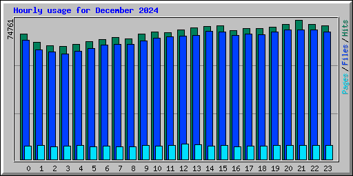 Hourly usage for December 2024