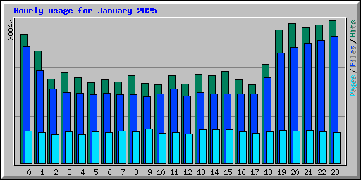 Hourly usage for January 2025