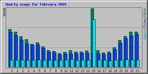 Hourly usage for February 2025