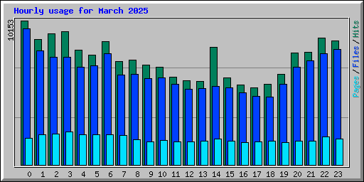 Hourly usage for March 2025