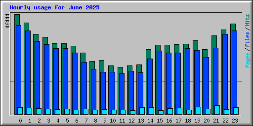 Hourly usage for June 2025