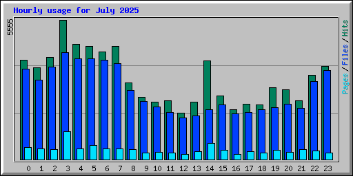 Hourly usage for July 2025